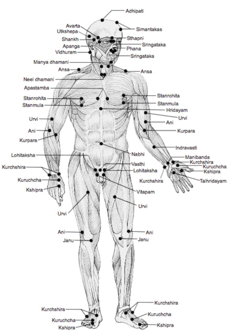 Marma -Where consciousness meets matter | Vaidya Gaurav Gupte's Blog